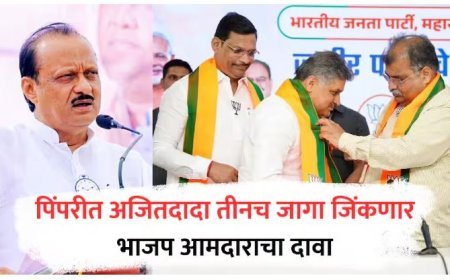 Pimpri Chinchwad Election : पिंपरीत भाजप 125 जागा जिंकणार, अजित पवार गटाला फक्त 3 जागा – आमदाराचा मोठा दावा.